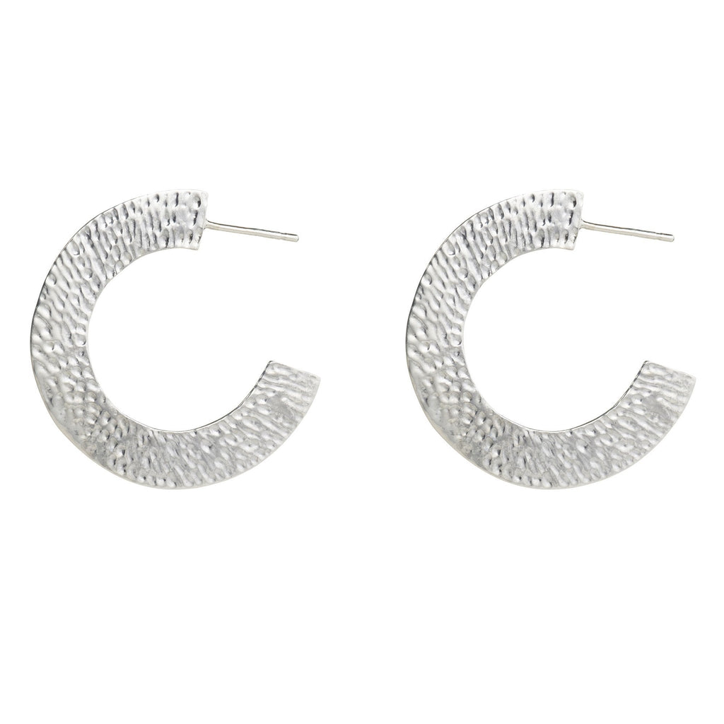 Large Horseshoe Hoop