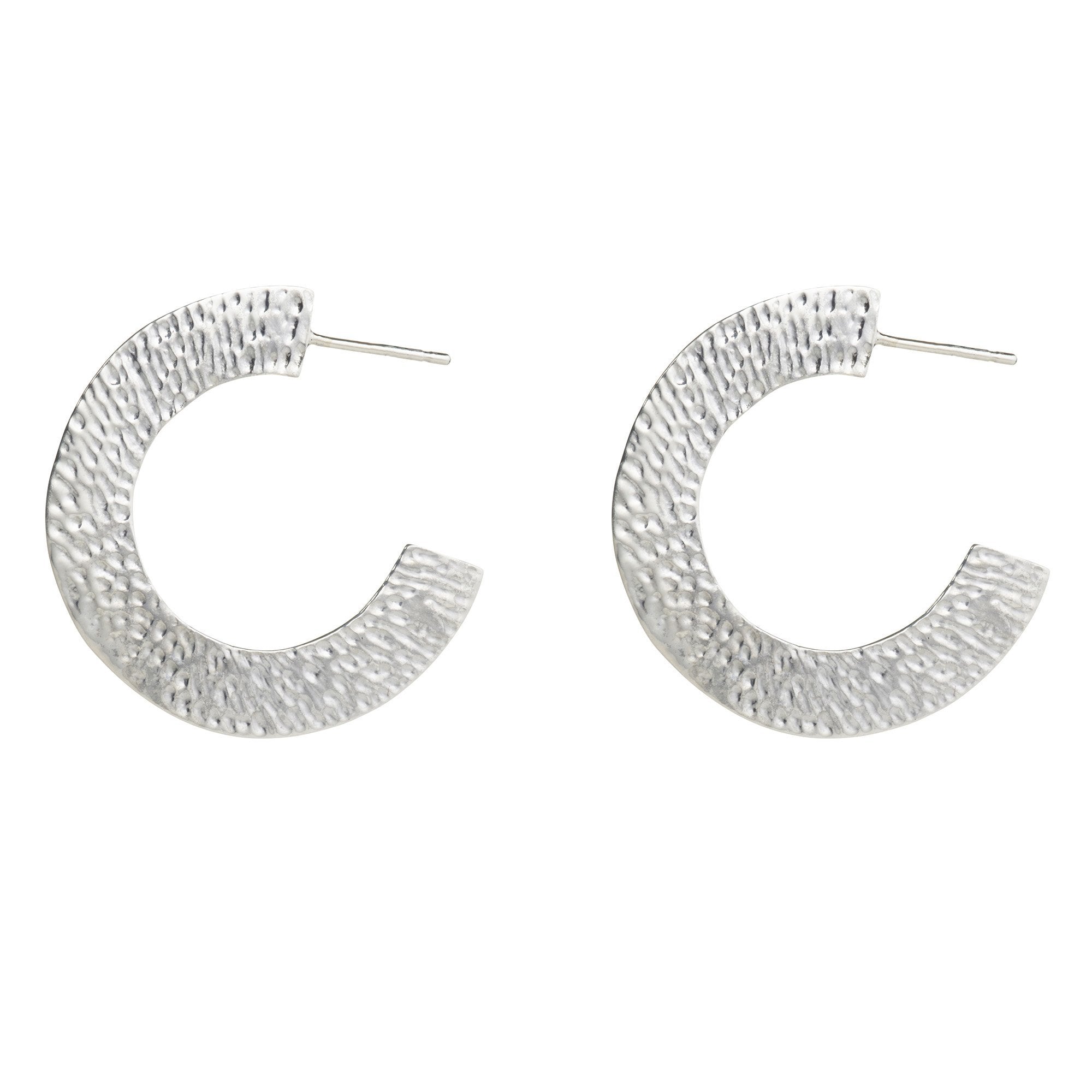 Large Horseshoe Hoop