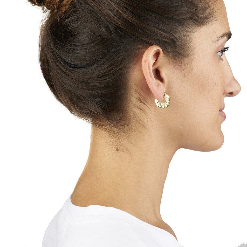 Small Horseshoe Hoop